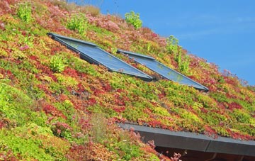 Compton Green living roof systems